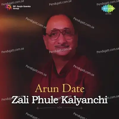 Too Ashi Javali Raha - Arun Date album cover 