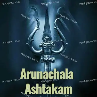 Arunachala Ashtakam - Veeramani Kannan album cover 
