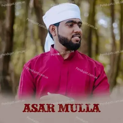 Asar Mulla - SUHAIL BAQAVI VAZHAKKAD album cover 