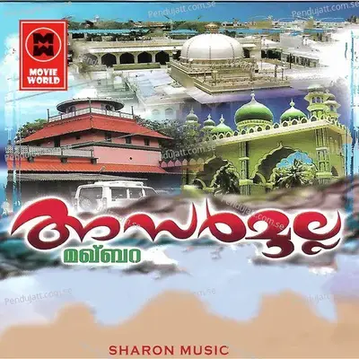 Malabaarin Mani - Ameen album cover 