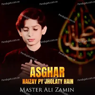 Asghar Naizay Py Jholaty Hain - Master Ali Zamin album cover 