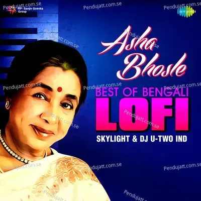 Jete Jete Pathe Holo Deri - Asha Bhosle - Lofi - Dj U-Two Ind album cover 