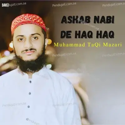 Ashab Nabi De Haq Haq - Muhammad TaQi Mazari album cover 