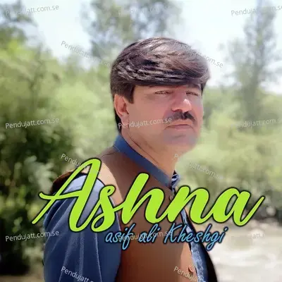 No Fana Shwell - Asif Kheshgi album cover 