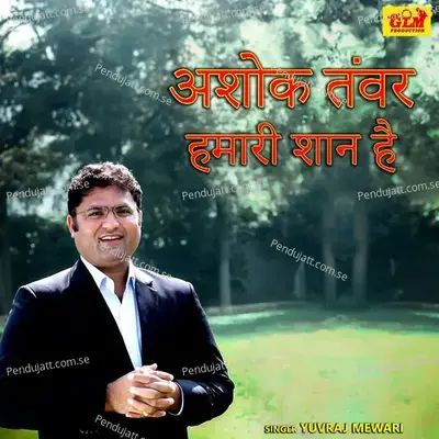 Ashok Tanwar Hamari Shan Hai - Yuvraj Mewadi album cover 