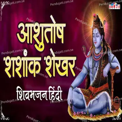 Ashutosh Shashank Shekhar - Mahesh Hiremath album cover 