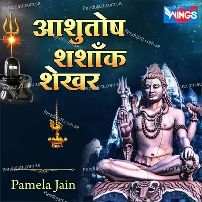 Ashutosh Shashank Shekhar - Pamela Jain album cover 