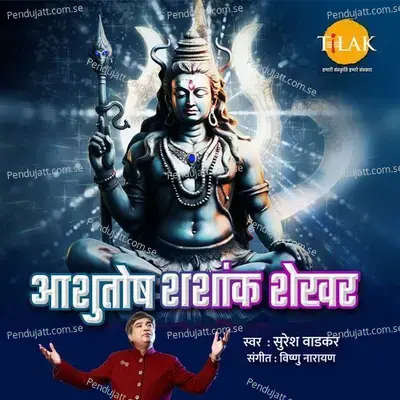 Ashutosh Shashank Shekhar - Vishnu Narayan album cover 
