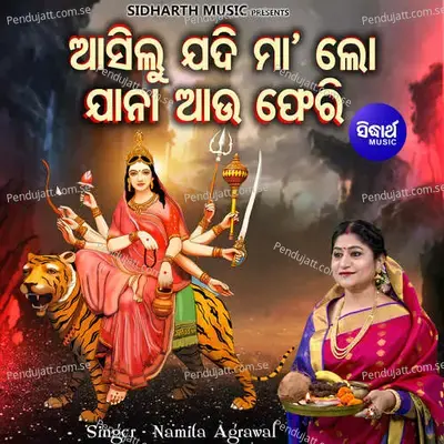 Asilu Jadi Maa Lo Jaanaa Aau Pheri - Namita Agrawal album cover 