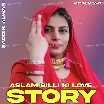 Aslam Billi Ki Love Story - Saddik Alwar album cover 