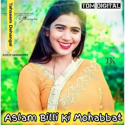 Aslam Billi Ki Mohabbat - Tahseem Dehangal album cover 