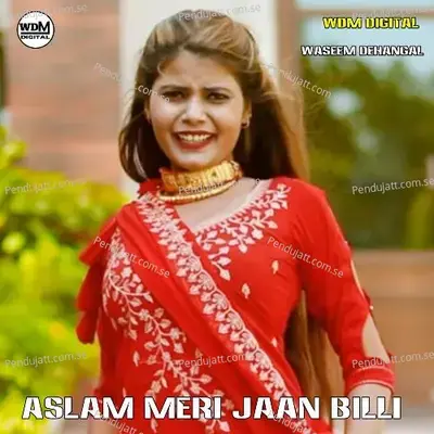 Aslam Meri Jaan Billi - Aslam Singer Mewati album cover 