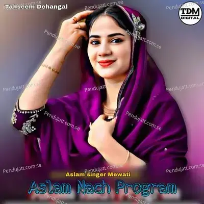 Aslam Nach Program - Aslam Singer Mewati album cover 