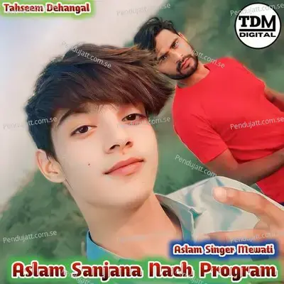 Aslam Sanjana Nach Program - Tahseem Dehangal album cover 