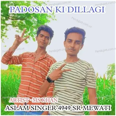 Aslam Singer 4949 Mewati - MS Khan album cover 