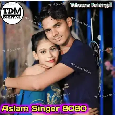 Aslam Singer 8080 - Tahseem Dehangal album cover 