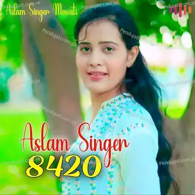 Aslam Singer 8420 - Aslam Singer Mewati album cover 