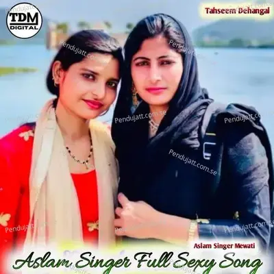 Aslam Singer Full Sexy Song - Tahseem Dehangal album cover 