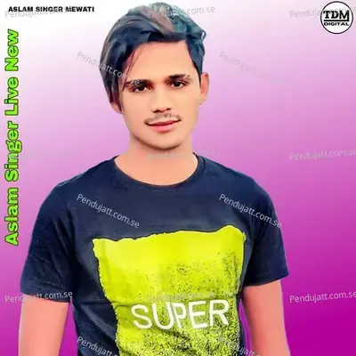 Aslam Singer Live New - Aslam Singer Mewati album cover 