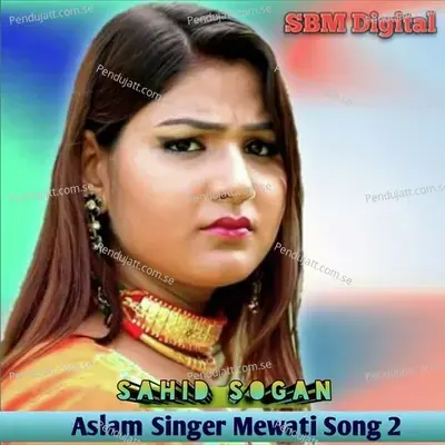 Aslam Singer Mewati Song 2 - Sahid Sogan album cover 