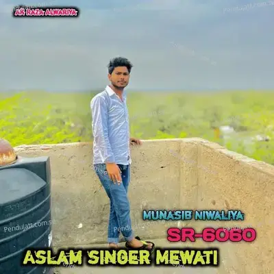 Aslam Singer Mewati Sr 6060 - Munasib Niwaliya album cover 