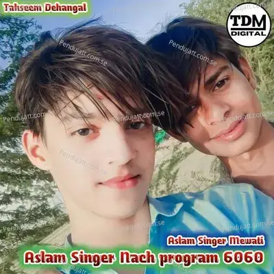 Aslam Singer Nach Program 6060 - Tahseem Dehangal album cover 