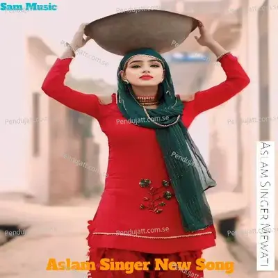 Aslam Singer New Song - Aslam Singer Mewati album cover 
