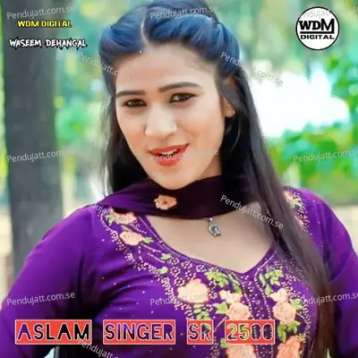 Aslam Singer Sr 2500 - Waseem Dehangal album cover 