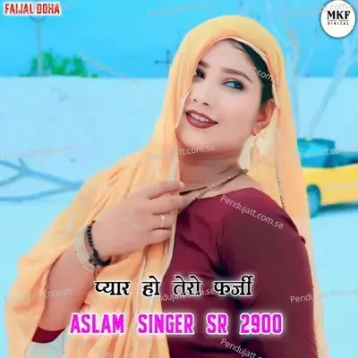 Aslam Singer Sr 2900 - Aslam Singer Deadwal album cover 