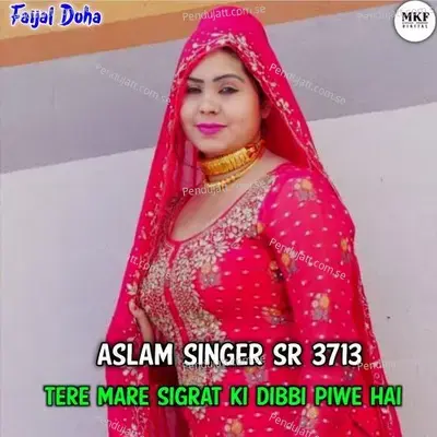 Aslam Singer Sr 3713 - Aslam Singer Deadwal album cover 