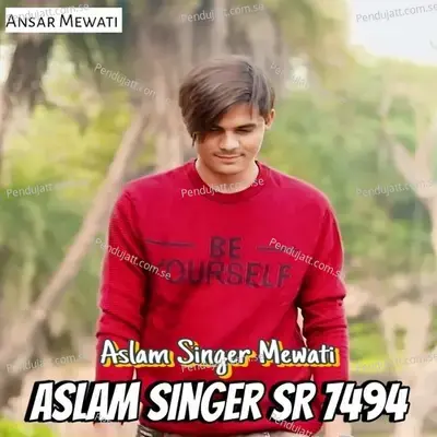 Aslam Singer Sr 7494 - Aslam Singer Mewati album cover 