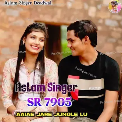 Aslam Singer Sr 7905 Aaiae Jare Jungle Lu - Aslam Singer Deadwal album cover 