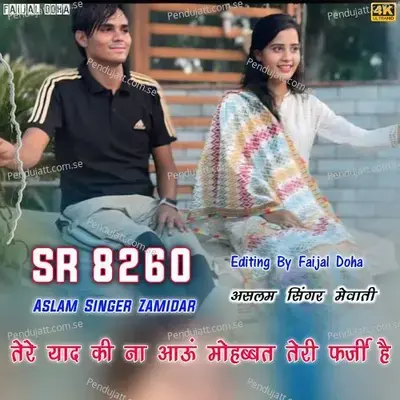 Aslam Singer Sr 8260 - Aslam Singer Deadwal album cover 