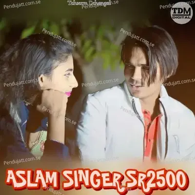 Aslam Singer Sr2500 - Tahseem Dehangal album cover 