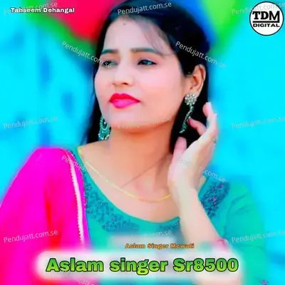 Aslam Singer Sr8500 - Aslam Singer Mewati album cover 