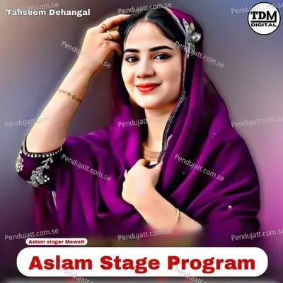 Aslam Stage Program - Aslam Singer Mewati album cover 