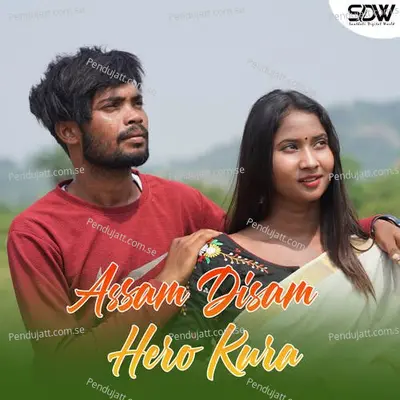 Assam Disam Hero Kura - Stephan Tudu album cover 