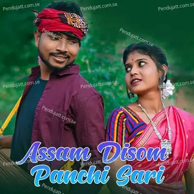 Assam Disom Panchi Sari - Stephan Tudu album cover 