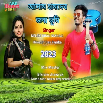 Assam Hamder Janma Bhumi - Nelem Biraj Mahali album cover 