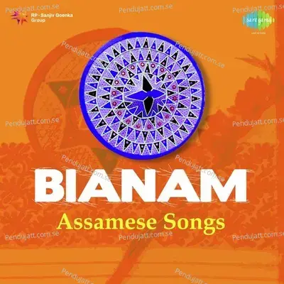 Bianaam Pt. 3 - Nikunjalata Mahanta album cover 