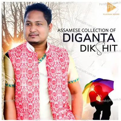 Sokujuri Nahorkoli - Diganta Dikshit album cover 