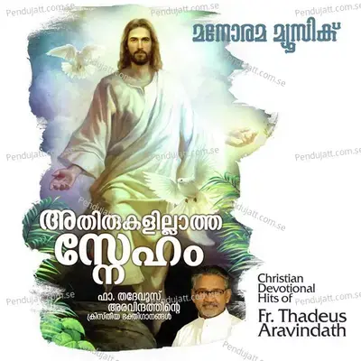 Paavanathmaave - Biju Naarayanan album cover 