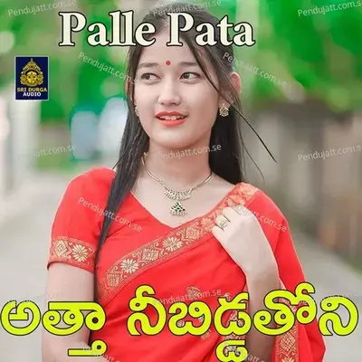 Atta Nee Bidda Thoni - Anil Kumar album cover 