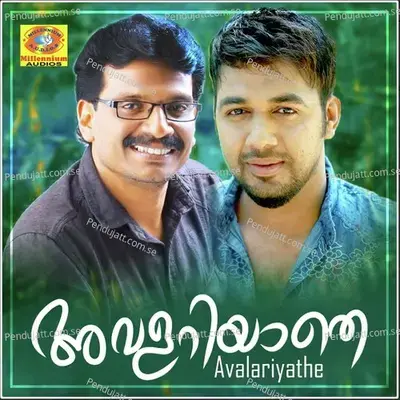 Ninakkayi - Saleem Kodathoor album cover 