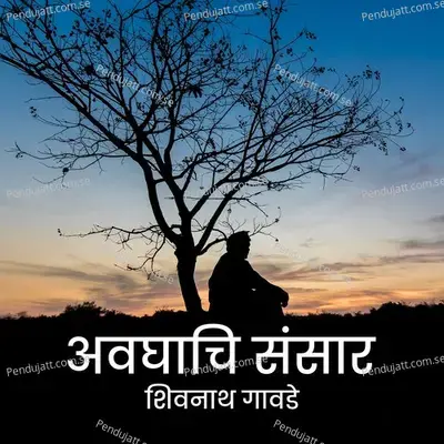 Avghachi Sansaar - Shivnath Gawde album cover 