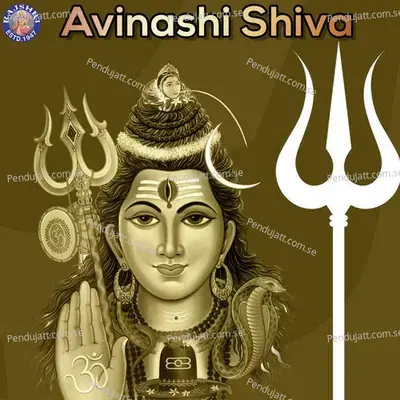 Avinashi Shiva - Various Artists