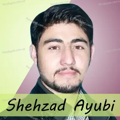 Awa Hardiyo Hawa - Shehzad Ayubi album cover 