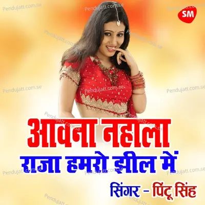 Awana Nahala Raja Hamaro Jheel Me - Pintu Singh album cover 