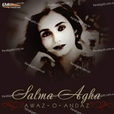 Ham Se Milta Hai - Salma Agha album cover 