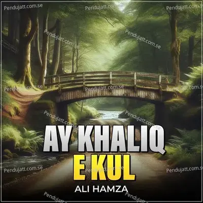 Ay Khaliq E Kul - Ali Hamza album cover 